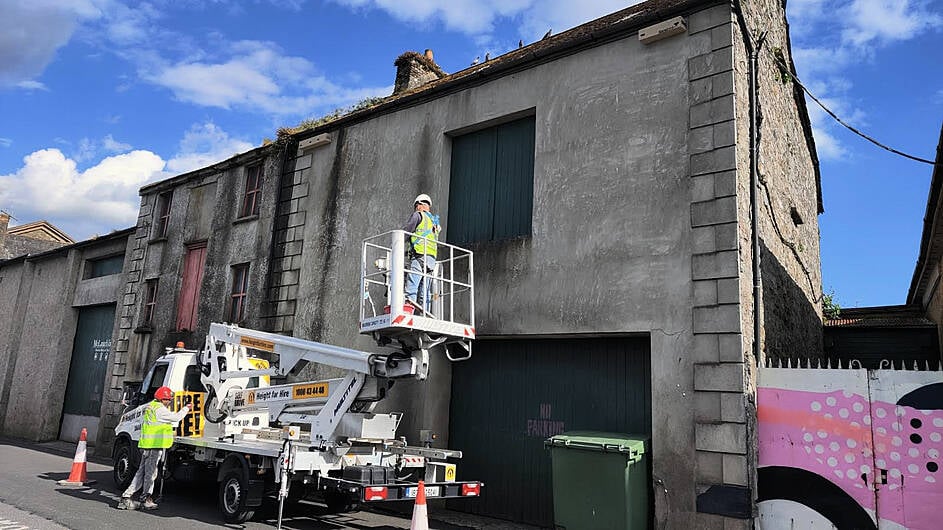 Bandon’s new swift boxes ready to welcome feathered visitors Image