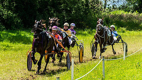 Goleen and Florida bask in success at Dunmanway races Image