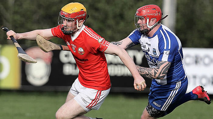 O'Donovan Rossa advance after controversial win against Bantry Blues Image