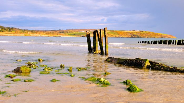 Break in sewage pipe closes Coolmaine beach for days Image