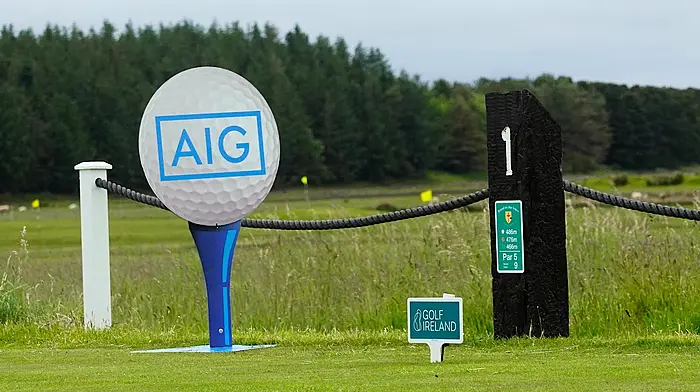Berehaven Golf Club will take on Baltinglass in AIG Jimmy Bruen Shield Final Image
