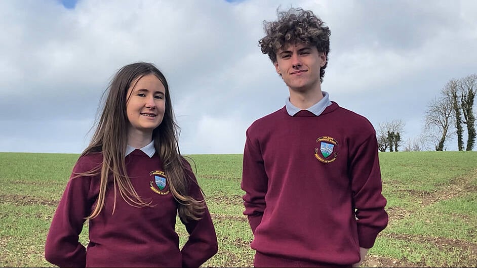 Eco award for Newcestown siblings in clean sweep for Brogan’s college Image