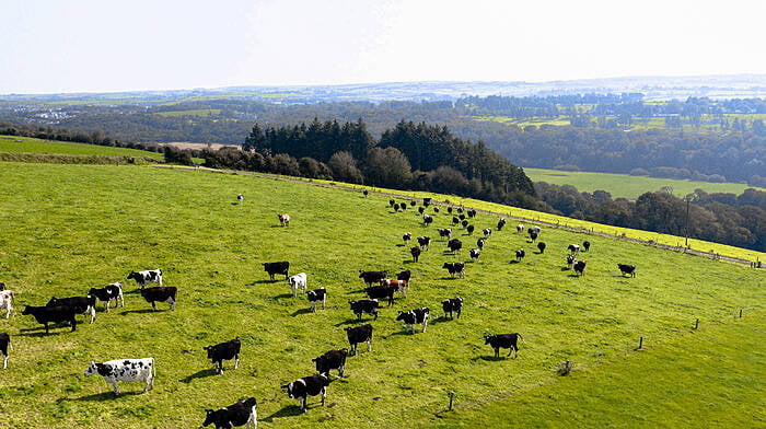 Funding of €2m for Carbery’s Farm Zero C Image