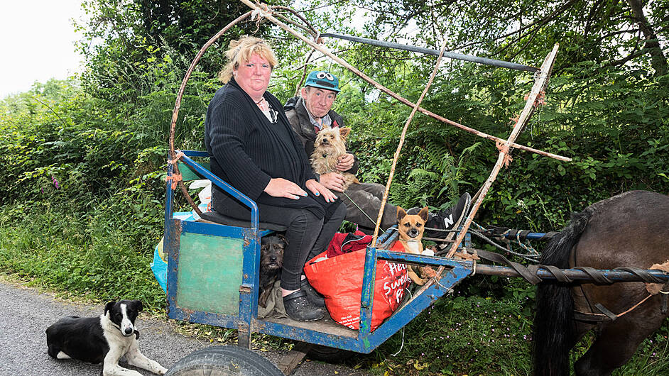 PAWS FOR THOUGHT All aboard for a shopping trip Image