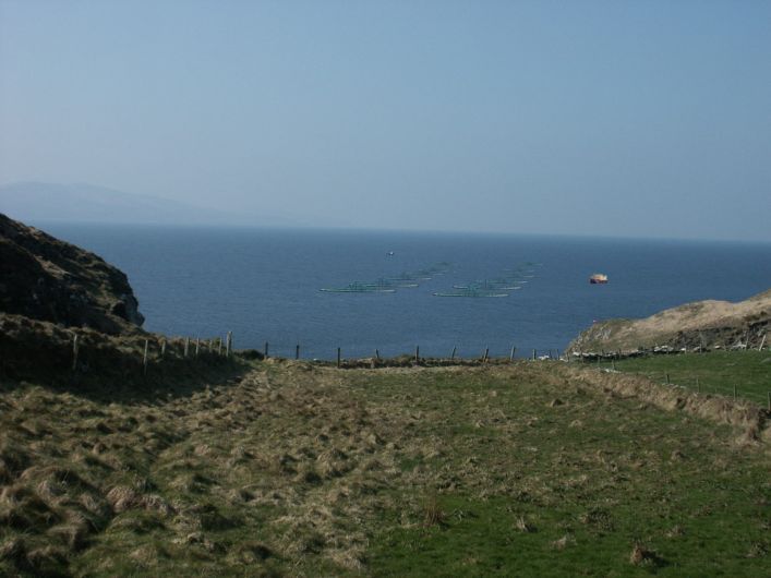 Massive salmon farm gets go-ahead in Bantry Bay Image