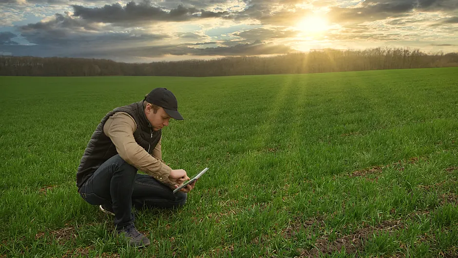 Now is the optimum time to get control of those grass weeds Image