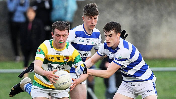 Carbery Rangers dethrone U21A champions Newcestown Image