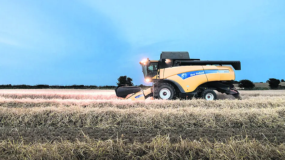 INCH BY INCH! Working the land Image INCH BY INCH! Working the land Image
