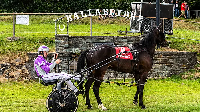 Kelleher drives double for Leap-based trainer John Shanahan Image