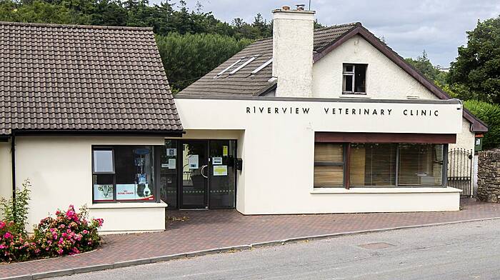 Riverview Veterinary Group: Celebrating 75 years serving the people of West Cork Image