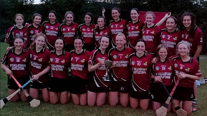 Enniskeane crowned 2020 county minor camogie champions Image