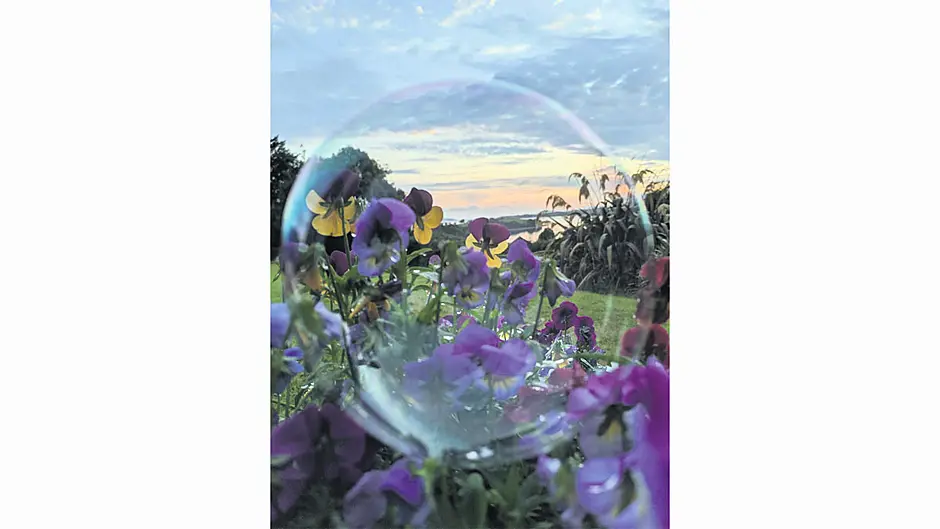 READER’S PICTURE OF THE WEEK Image READER’S PICTURE OF THE WEEK Image