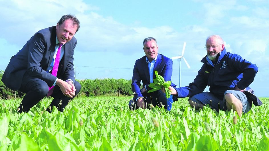 Farmers will ‘find their way’ through climate challenge, says McConalogue Image