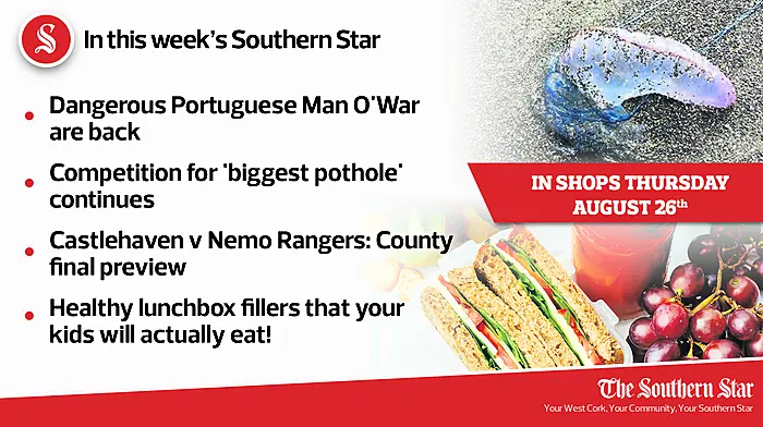 In this week's Southern Star: Portuguese Man O'War are back, competition for 'biggest pothole' continues & Castlehaven v Nemo Rangers: county final preview Image
