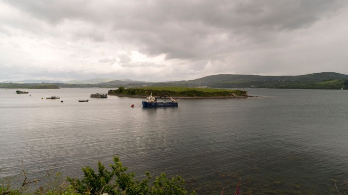 New podcast examines the islands of West Cork Image