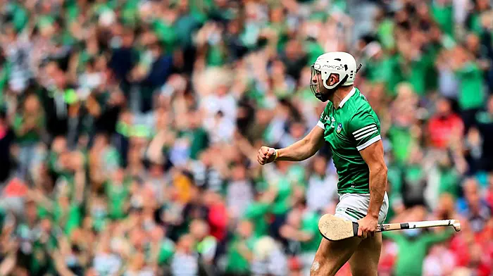 Cork brushed aside by incredible Limerick display Image