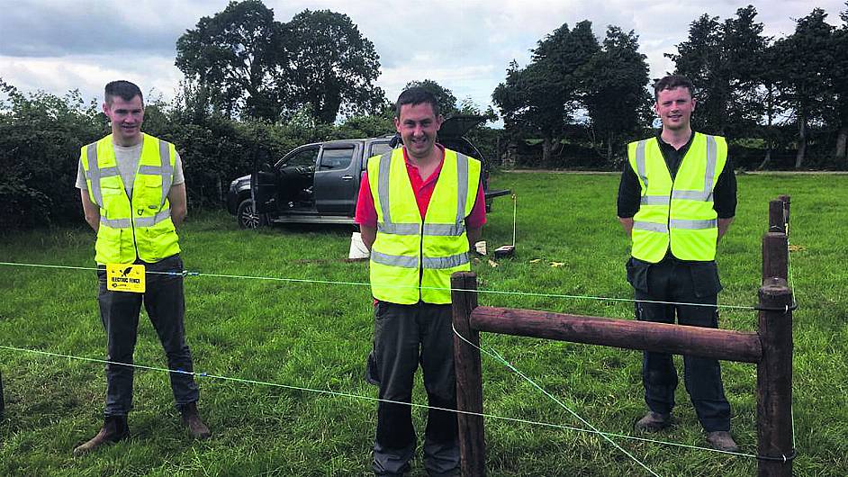 Ballinadee Macra trio takes national prize for farming skills and expertise Image