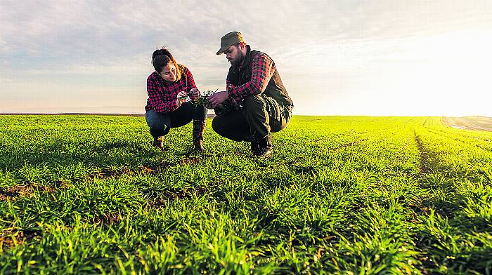 TEAGASC: Grass is the cheapest feed with low carbon footprint - so build supplies Image