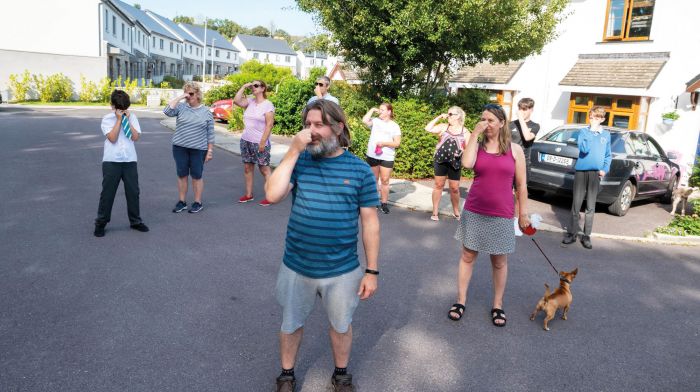 Kinsale residents kick up a stink with Irish Water over noxious water plant Image