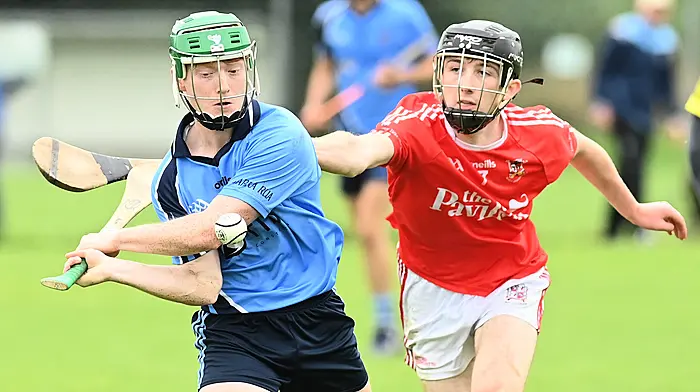 Barryroe hurlers have ground to make up after opening loss Image