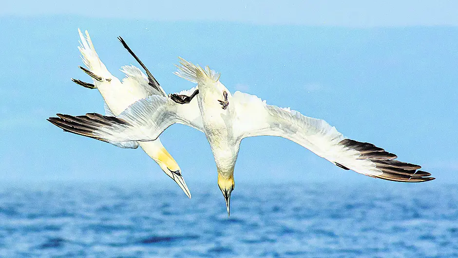 Reader’s Picture of the Week Image Reader’s Picture of the Week Image