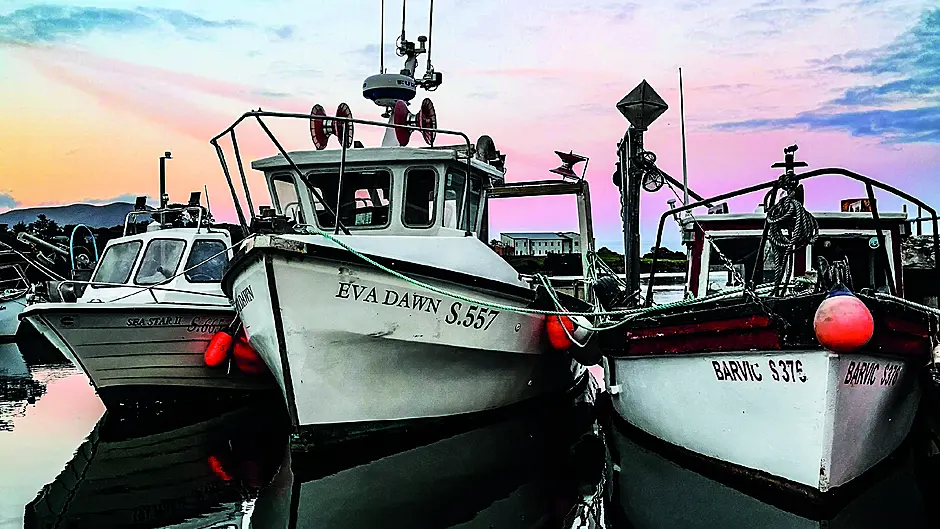 Reader’s Picture of the Week Image Reader’s Picture of the Week Image