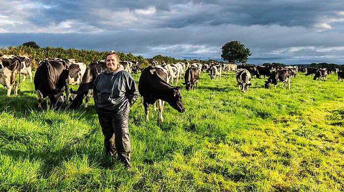 GROUND BREAKING: Farming across generations Image