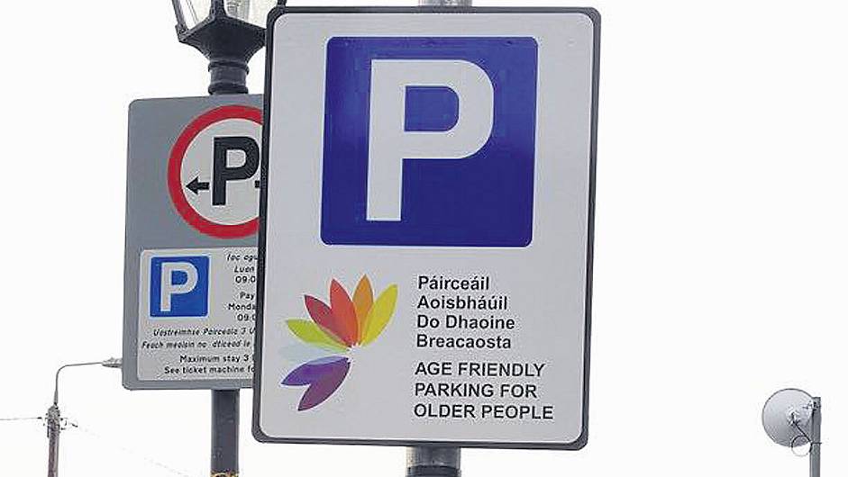 Cllrs have cúpla focail to say over  Irish language on parking signs Image