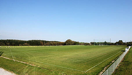 Labour of love helped create St Oliver Plunkett’s field of dreams Image