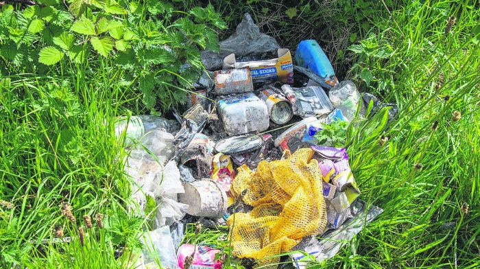 Closing three recycling services has led to more illegal dumping Image