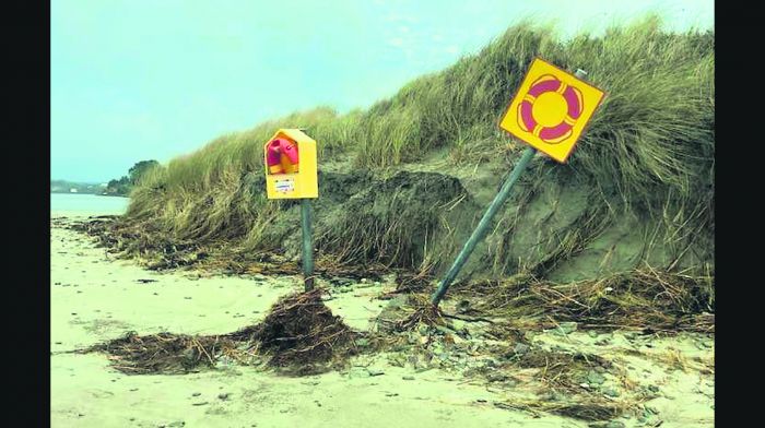 Our dunes are dying – but if we move quickly, we can save them Image