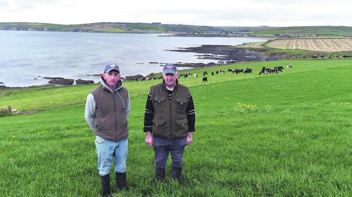 Eoin’s grass production focus pays off Image