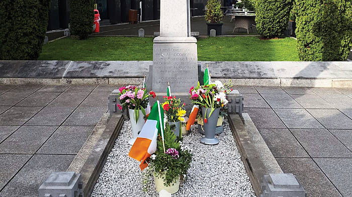 Tradition of Valentine’s flowers for Michael Collins continues Image