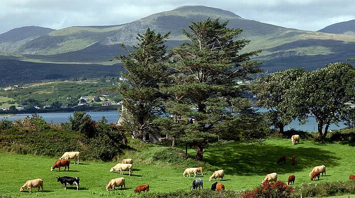 West Cork deserves to get its fair share of new funding for  farming and the environment Image