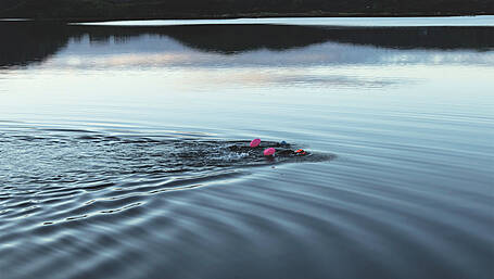 Wild swimming: why sometimes, it just runs deep ... Image