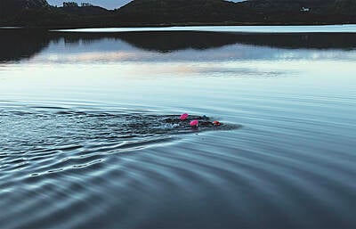 Wild swimming: why sometimes, it just runs deep ... Image