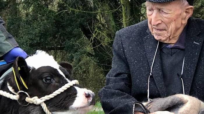 Farmer Denis turns 101 in the company of new-born calves Image