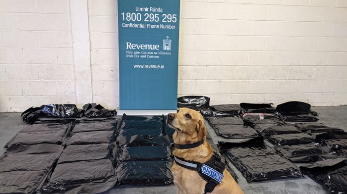‘Marley’ helps find €1.8m cannabis haul in Ringaskiddy Image