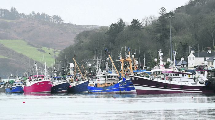 Fishermen being left high and dry at Union Hall pier Image