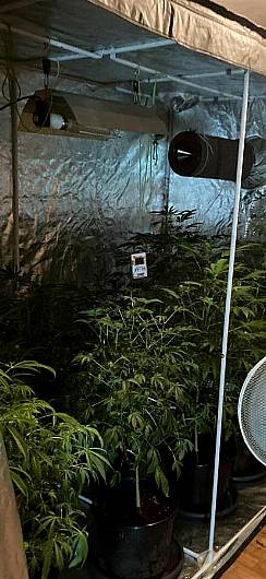 Drugs find at Enniskeane grow house Image