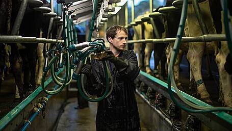 GEA Milking Parlor has many advantages Image