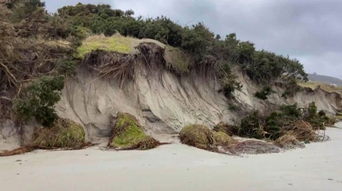 Beach walkers are ‘in danger’ from Inchydoney’s collapsing sand dunes Image