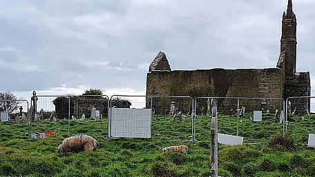 These sheep aren’t dilly-‘dolly’ing in clearing graveyard Image