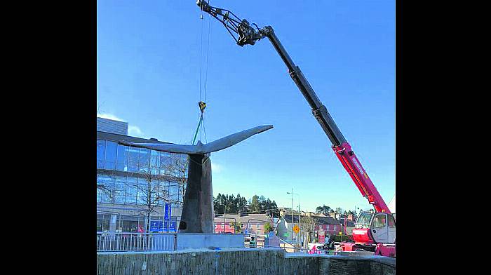 Whale’s tail has Boomerang-ed its way back to Clonakilty – better than ever Image