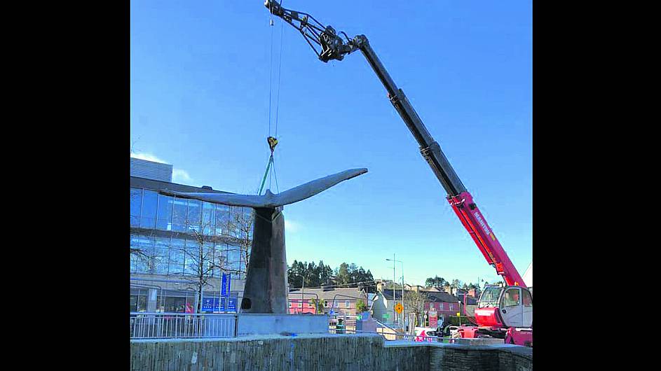 Whale’s tail has Boomerang-ed its way back to Clonakilty – better than ever Image