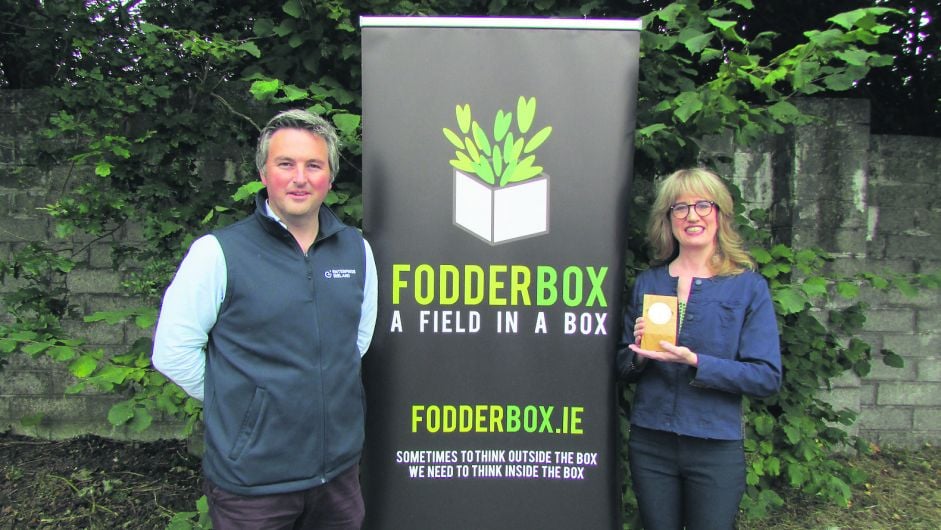 ‘Field in a box’ technology can reduce farm costs and improve cow health Image