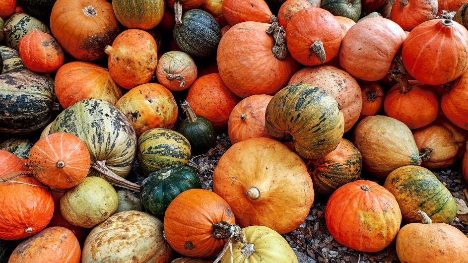 Give up your oul pumpkins for a good cause in Leap Image