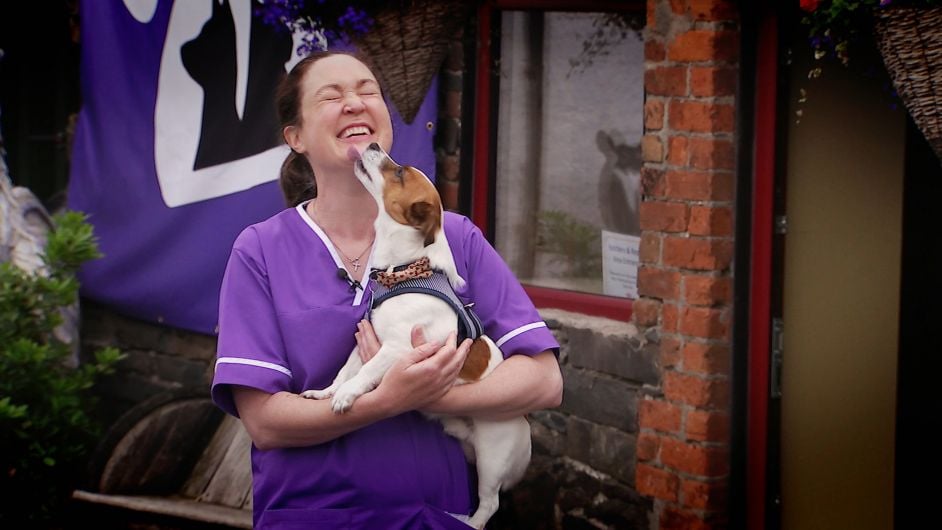 Bantry vet Ellen tackles bully goat and scaredy cat on bi-lingual TV show series Image