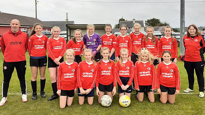 Skibbereen and Drinagh the toasts of West Cork soccer Image