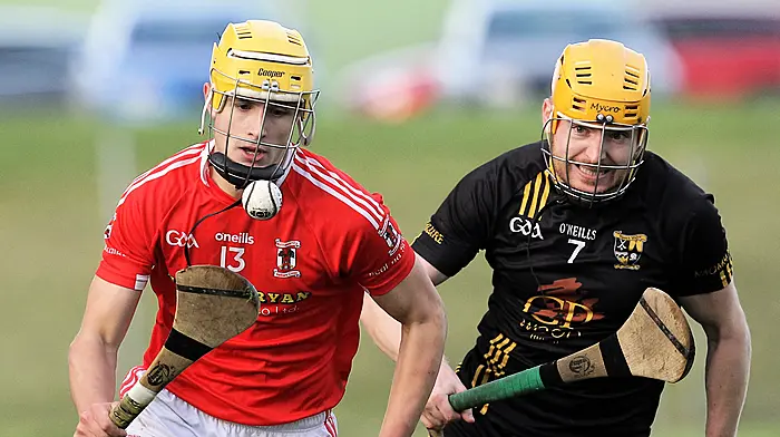 Brilliant Ballinascarthy hurlers rule in Carbery division Image